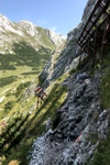 Lawinenschutz oberhalb des Karwendelhauses.