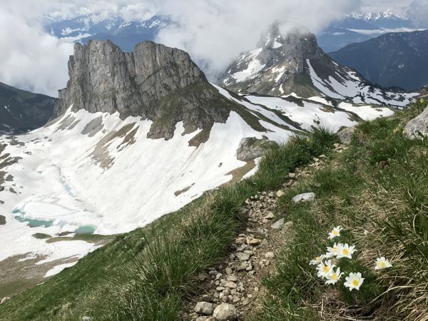 Auf dem Kammweg zurück von der Rofanspitze. Im Hintergrund die Haidachstellwand. Auf dem Kammweg zurück von der Rofanspitze. Im Hintergrund die Haidachstellwand.