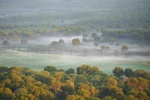 Nebel über Wiesen, Feldern und Wäldern.