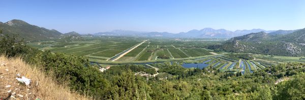 Delta der Neretva - ein besonderes Anbaugebiet.