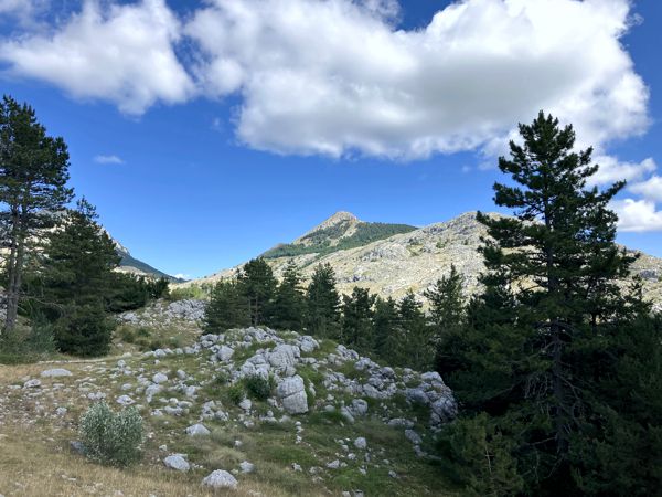 Durch den Lovćen-Nationalpark mit Blick auf den Jezerski. Durch den Lovćen-Nationalpark mit Blick auf den Jezerski.