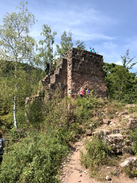 Mauern und Wohnturm der Oberburg Nideck. Mauern und Wohnturm der Oberburg Nideck.
