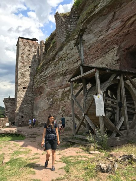 Ein mittelalterlicher Baukran im Innenhof der Burg Fleckenstein. Ein mittelalterlicher Baukran im Innenhof der Burg Fleckenstein.