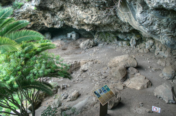 Cuevas de Belmaco - Im gesamten Barranco gibt es viele Überhänge, die zum Wohnen genutzt wurden. Cuevas de Belmaco - Im gesamten Barranco gibt es viele Überhänge, die zum Wohnen genutzt wurden.