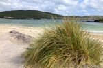 Blick auf den Derrynane Beach mit Gras.