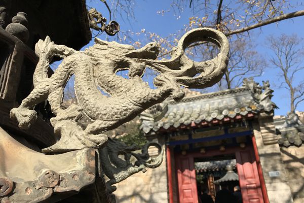 Feuerspeiender Drache. Feuerspeiender Drache.