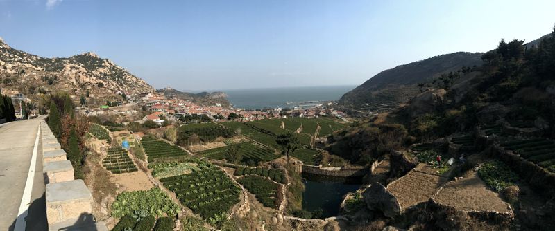 Die Teeterrassen von Qingshancun an der Westküste des Lao Shan. Die Teeterrassen von Qingshancun an der Westküste des Lao Shan.