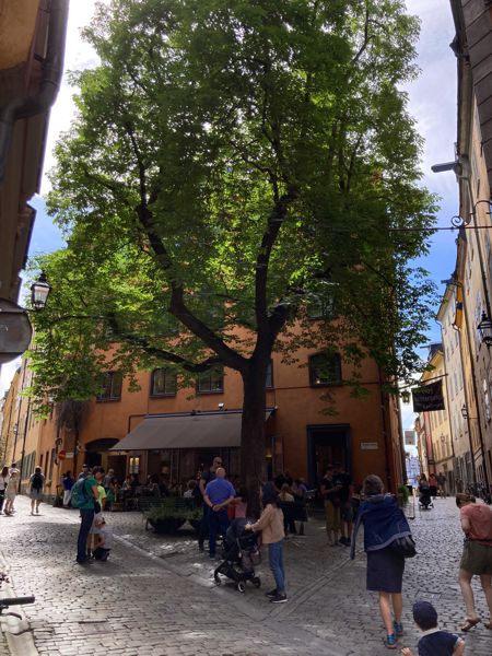 Ein grüner Platz an der Ecke Kindstugatan / Själagårdsgatan. Ein grüner Platz an der Ecke Kindstugatan / Själagårdsgatan.