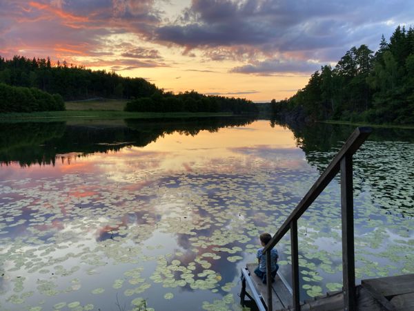 Sonnenuntergang und Seerosen am See Albysjön. Sonnenuntergang und Seerosen am See Albysjön.