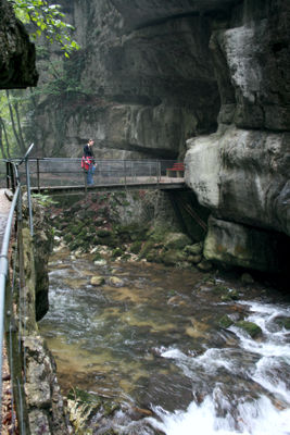 Eine von unzähligen Brücken in der Taubenlochschlucht.