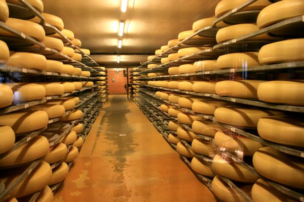 Reifekeller für neuen Emmentaler Käse. Reifekeller für neuen Emmentaler Käse.