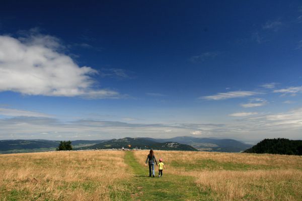 Der Weg in den Abgrund - wo ist nur das Loch? Der Weg in den Abgrund - wo ist nur das Loch?