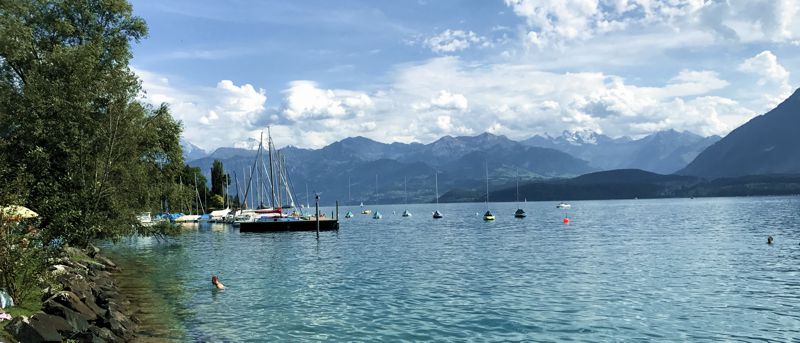 Baden im Thunersee. Schneebedeckte Berge im Hintergrund. Baden im Thunersee. Schneebedeckte Berge im Hintergrund.