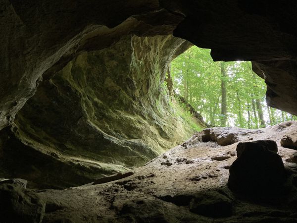 Blick aus einer Höhle hinauf in den Wald. Blick aus einer Höhle hinauf in den Wald.