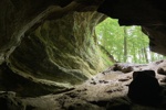 Blick aus einer Höhle hinauf in den Wald.