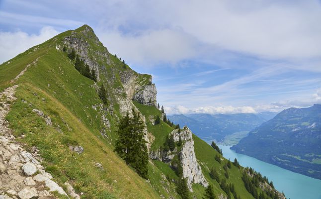 Der Abstiegsweg vom Suggiturm oberhalb des Brienzersees. Der Abstiegsweg vom Suggiturm oberhalb des Brienzersees.
