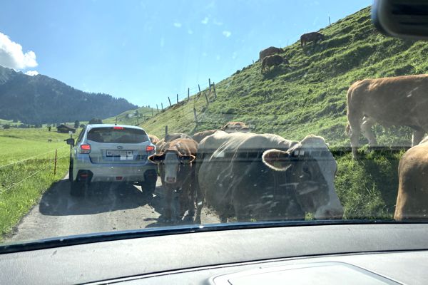 Rush hour bei der Fahrt über den Ächerlipass mahnt zur Ruhe. Rush hour bei der Fahrt über den Ächerlipass mahnt zur Ruhe.