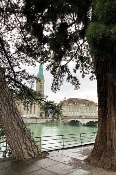 Blick über die Limmat zum Frauenmünster. Blick über die Limmat zum Frauenmünster.
