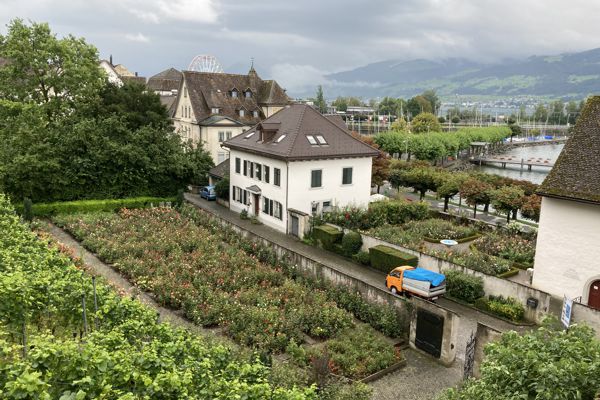 Hirschgehege und Rosengarten im ehemaligen Kapuzinerkloster. Hirschgehege und Rosengarten im ehemaligen Kapuzinerkloster.