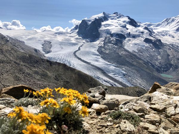 Aufstieg zum Hohtälli mit Blick auf Dufourspitze und -gletscher. Aufstieg zum Hohtälli mit Blick auf Dufourspitze und -gletscher.