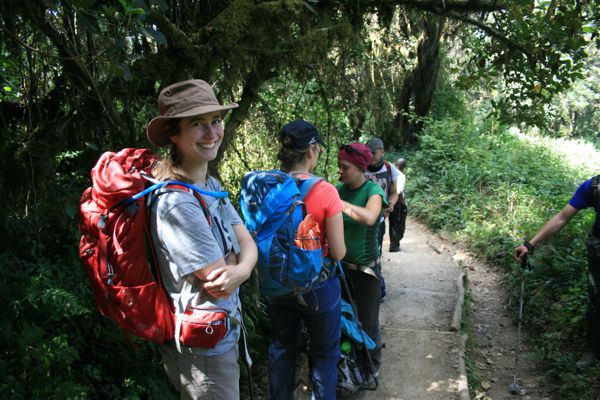 Weiter unten wandern wir durch üppigen Regenwald. Weiter unten wandern wir durch üppigen Regenwald.