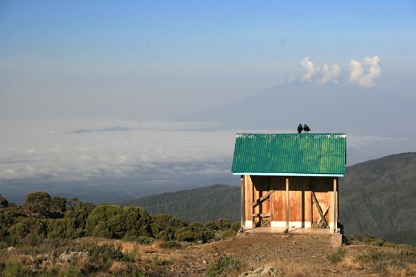Ein einsamer Ort am Rande des Shira Camps mit Mt. Meru im Hintergrund. Ein einsamer Ort am Rande des Shira Camps mit Mt. Meru im Hintergrund.