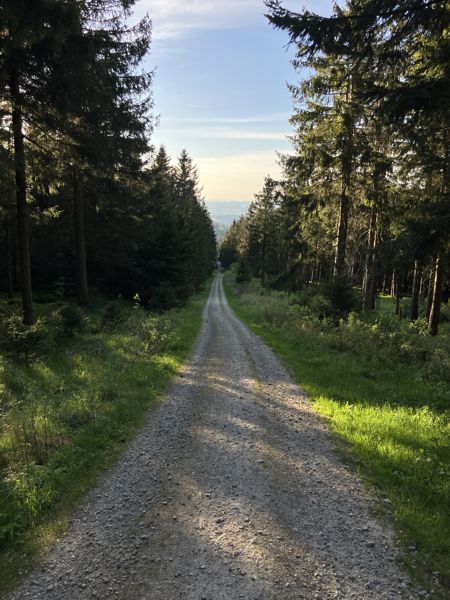 Der Aufstiegsweg ist meist gerade, aber am Ende auch sehr steil. Der Aufstiegsweg ist meist gerade, aber am Ende auch sehr steil.