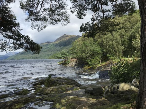 Der Ben Lomond vom Wanderparkplatz in Rowardennan. Der Ben Lomond vom Wanderparkplatz in Rowardennan.